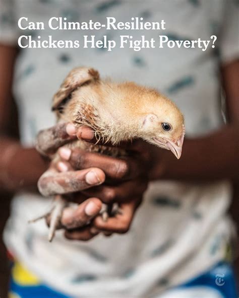 The New York Times | Jacky Dejo’s story shows the dangers faced by child influencers everywhere ...