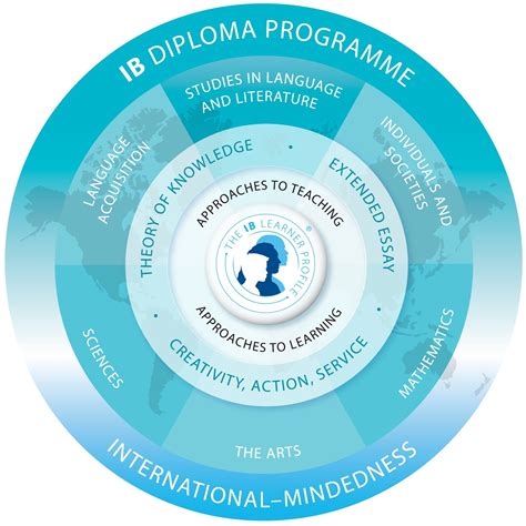 What is CAS?: Relevance in the IB diploma