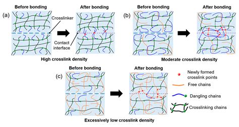 Controlled Tensile Behavior of Pre-Cured PDMS via Advanced Bonding ...