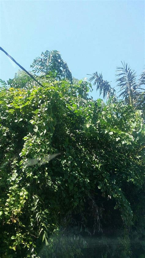 Rasa Motel Penang Massage: Pictures & Reviews - Tripadvisor