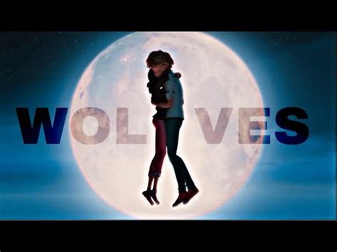 Image result for Wolves Ladybug