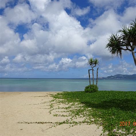 21ST CENTURY FOREST PARK (2026) All You Need to Know BEFORE You Go ...