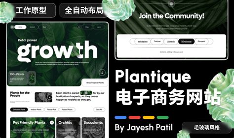 Web Page Design Export 的图像结果