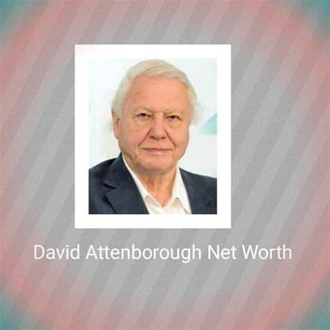 David Attenborough Net Worth 2024: How Rich is He Now?