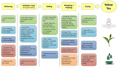 Image result for Tea Processing Steps