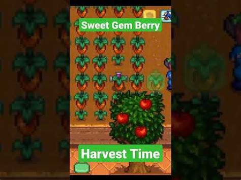 Sweet Gem Berry Greenhouse in Stardew Valley #stardewvalley #shorts ...