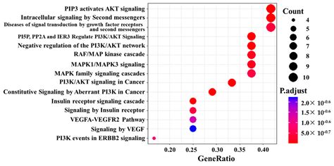 Comprehensive Kinase Activity Profiling Revealed the Kinase Activity ...