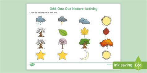 👉 Odd One Out Nature Worksheet (teacher made)
