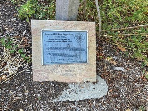 BAROSSA OLD ROSE REPOSITORY (2026) All You Need to Know BEFORE You Go ...