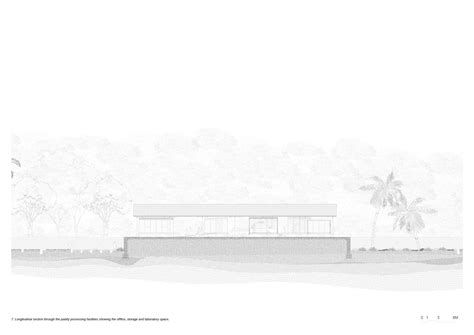 Rice intensification- Transforming Paddy Practises | CEPT - Portfolio