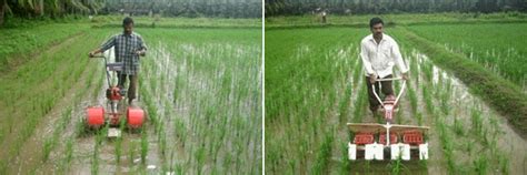 Research | KCAET, Tavanur