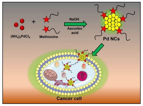 Preparation, Cytotoxicity, and In Vitro Bioimaging of Water Soluble and ...