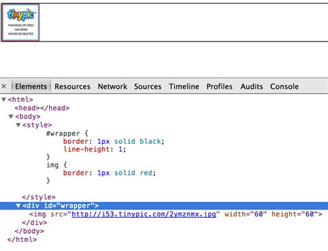 Image result for How to Use IMG Tag in HTML