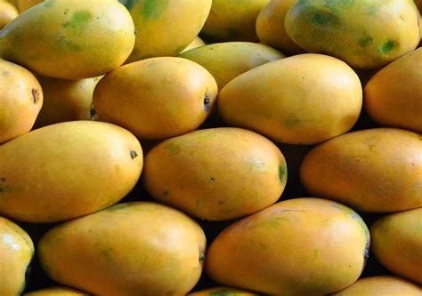 Mankurado vs Alphonso| Which Mango Tastes Better, Have Your Say