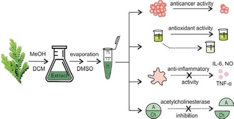 Comparison of Chemical Composition and Biological Activities of Eight ...