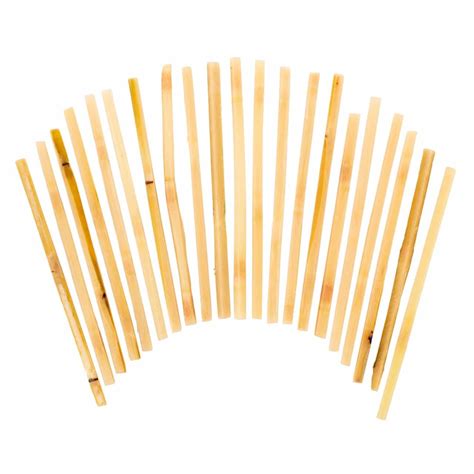 Raw Sugar Cane 7"L Swizzle Sticks - Pack of 20 - Buy Online | Foraged