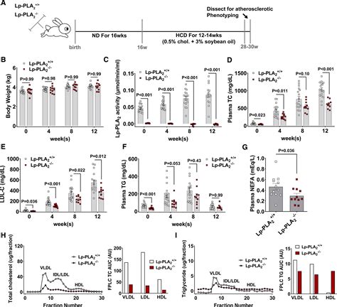 Lp-PLA2 (Lipoprotein-Associated Phospholipase A2) Deficiency Lowers ...