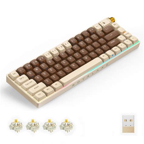 Amazon.in: Buy ROYALAXE X ProtoArc 60% Wireless Mechanical Keyboard ...