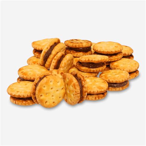 Image result for Titanium Biscuits