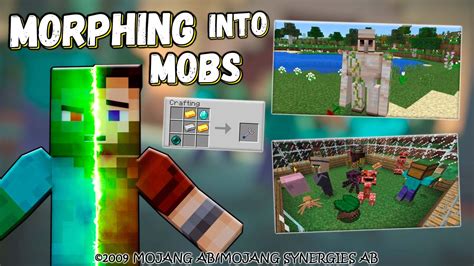 Image result for Minecraft Mob Morphing