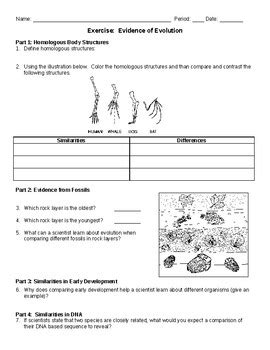 Evidence for Evolution Worksheet 的图像结果