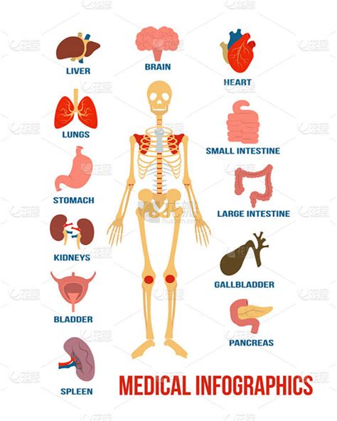 医学 的图像结果