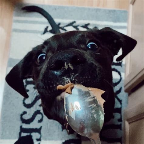 RPS 205 - 2020-2021 CALENDAR: The Rockford School Board approved the ...