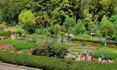 Kodai trails 2 Days 1 Nights Kodaikanal Tour Package | Kodaikanal Trip ...
