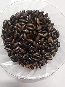 Buy Ambe Ayurveda - Sitaphal Seeds - Sitafal beej - Custard Apple Seed ...