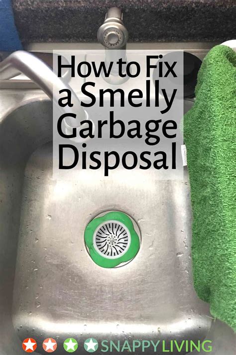How to Fix a Smelly Garbage Disposal – Snappy Living