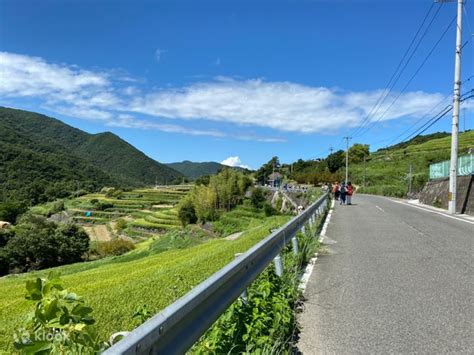 Setouchi Triennale Shodoshima 1-Day Tour (Departing from Takamatsu ...