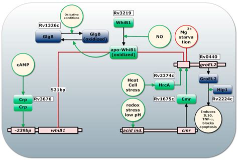 Regulation of Three Virulence Strategies of Mycobacterium tuberculosis ...