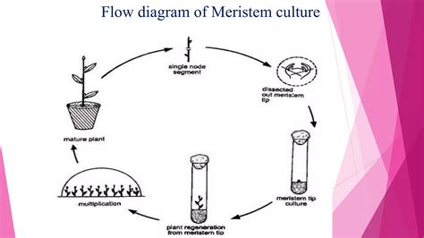 Image result for Steps in O2C Process