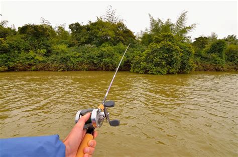 Image result for Fishing Hoop Net Making Instructions