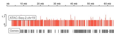 Image result for ATAC-seq Data Analysis