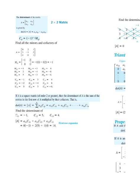 Image result for Polynomial Matrix Determinat