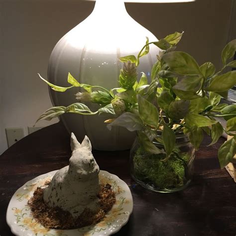 Image result for Table Top Spring Decor