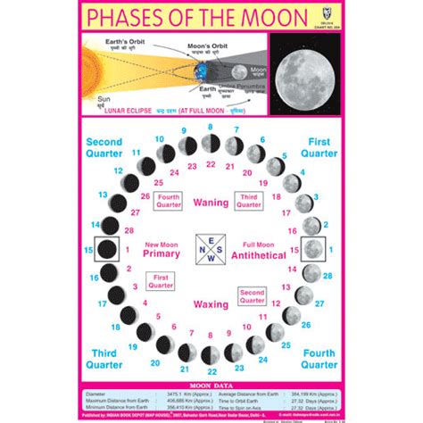 PHASES OF THE MOON CHART SIZE 12X18 (INCHS) 300GSM ARTCARD