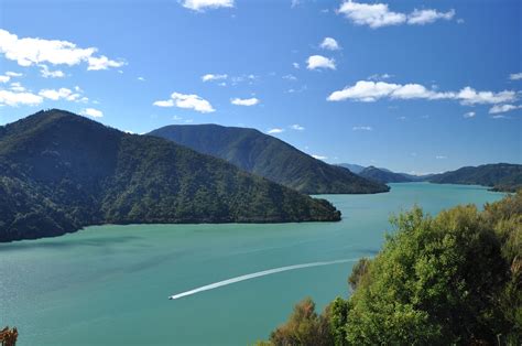 Cook Strait 的图像结果