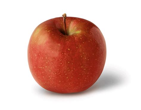 Fuji - New York Apple Association