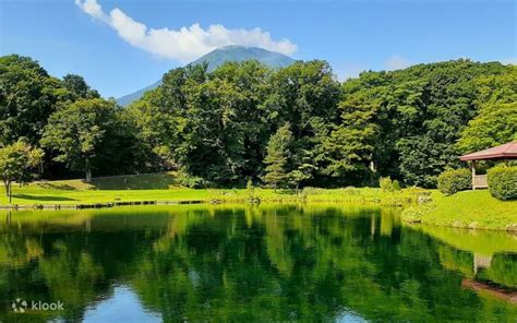 Sapporo Niseko Distillery & Lake Shikotsu Full-Day Bus Tour with TV ...