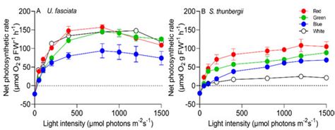 Photosynthetic Characteristics of Macroalgae Ulva fasciata and ...