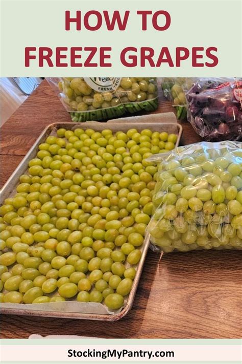 How to Freeze Grapes - Stocking My Pantry