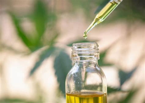 DMT Extraction Tutorial 的图像结果