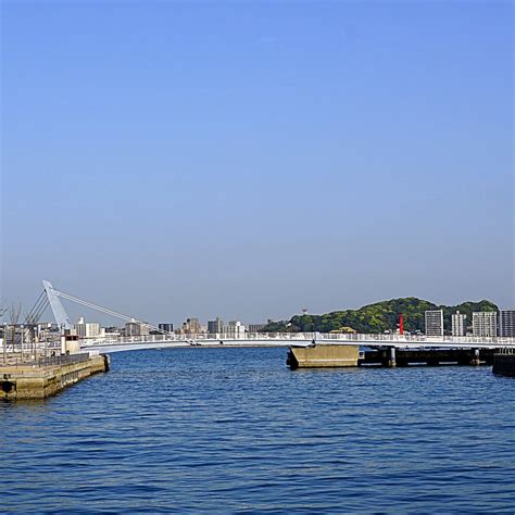 BLUE WING MOJI (2026) All You Need to Know BEFORE You Go (with Photos ...