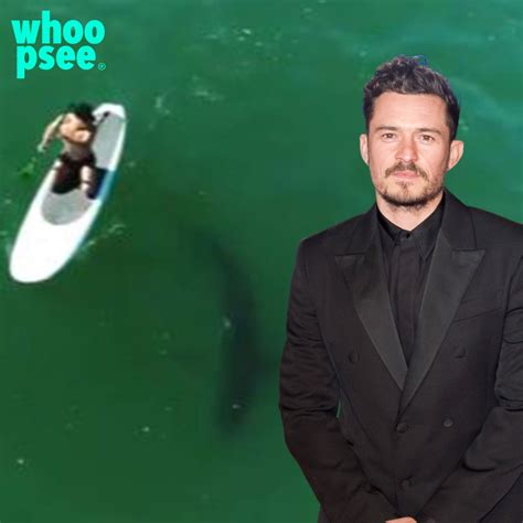 Orlando Bloom, paddleboard con gli squali - Whoopsee