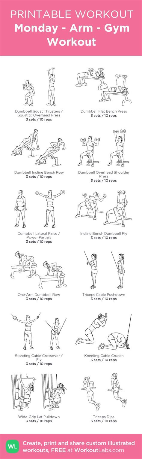 Image result for Basic Exercise Program