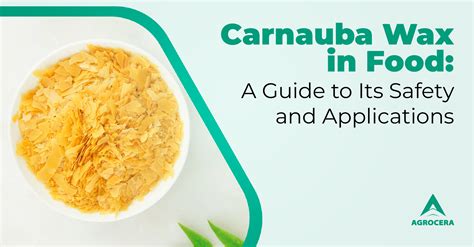Carnauba Wax In Food at Kenneth Mcgray blog