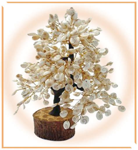 Divy Gomtichakra Tree | Himalaya Rudraksha Anusandhan Kendra