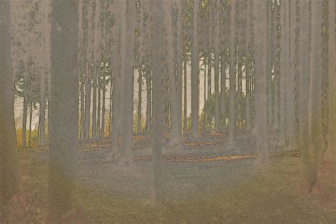 Image result for Forest and Trees Cyber Security Software